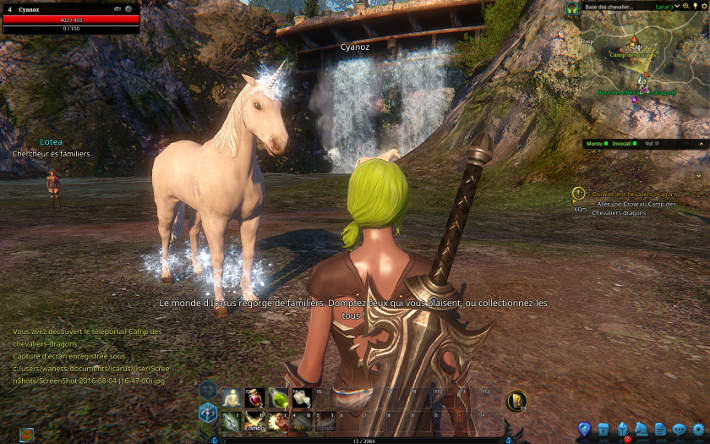 Dompter une licorne dans Riders of Icarus