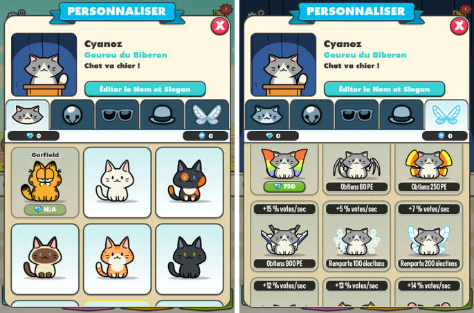 Personnalisation de son chat