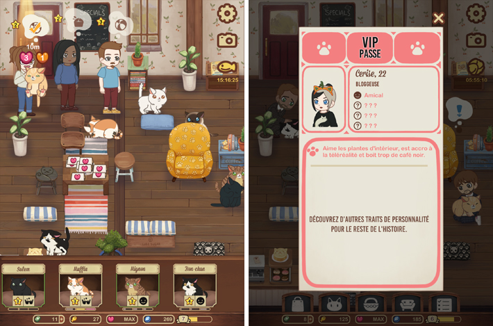 Furistas cat café, des clients exigeants 