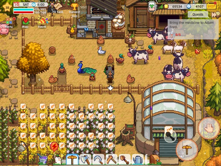 Harvest Town, élevage et récolte