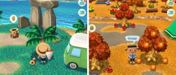 Clochettes et Tickets verts - Astuces Animal Crossing: Pocket Camp