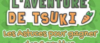 Astuces pour L'aventure de Tsuki - Comment gagner des Carottes ?