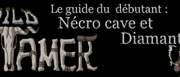 Wild Tamer, guide du débutant : Nécro cave et Diamants